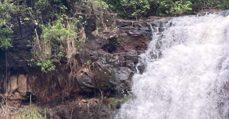 North Shore Haleiwa & Waimea Falls Valley Of The Priests! - Itinerary Highlights