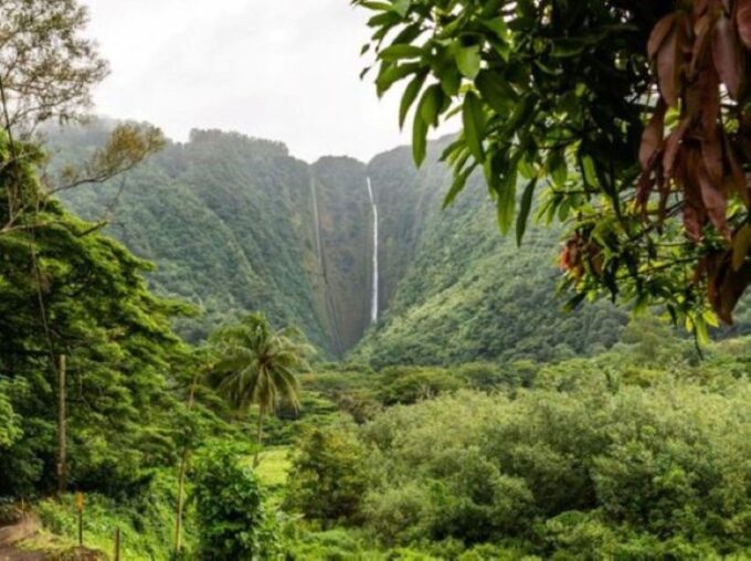 North Shore Haleiwa & Waimea Falls Valley Of The Priests! - Haleiwa Town and Food Scene