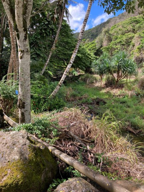 North Shore Haleiwa & Waimea Falls Valley Of The Priests! - VIP Limousine Experience