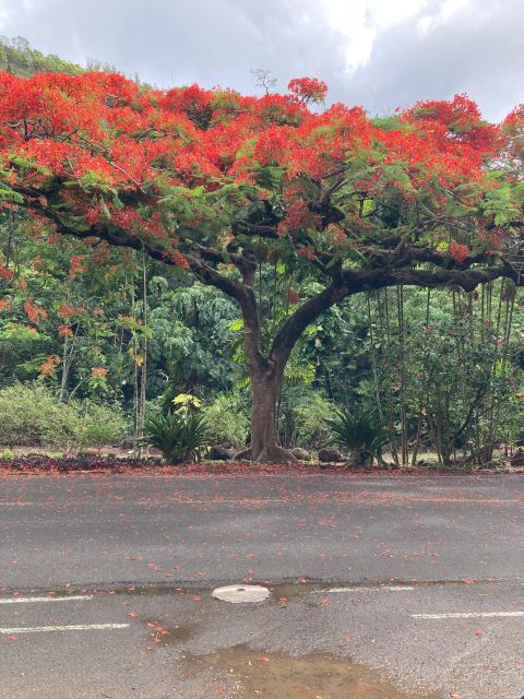 North Shore Haleiwa & Waimea Falls Valley Of The Priests! - Frequently Asked Questions