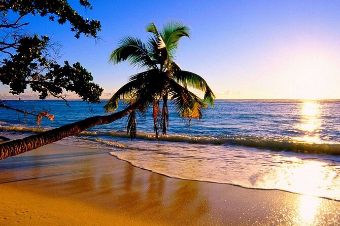 North Shore Private Tour - Booking Information