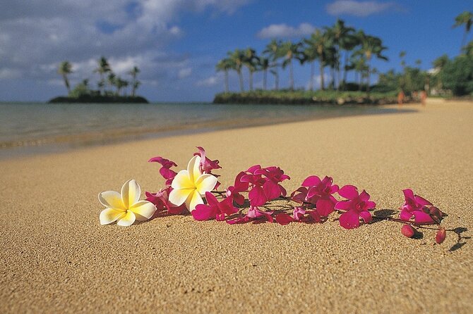 North Shore Private Tour - Preparing for the Tour