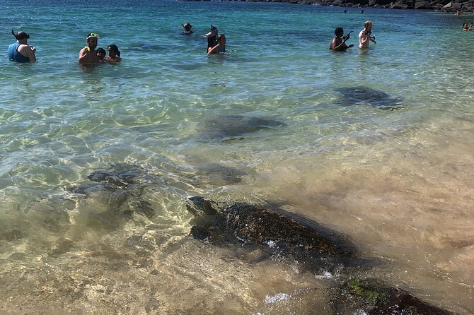 North Shore / Waimea, Falls Day & Swim With Turtles - Logistics and Requirements