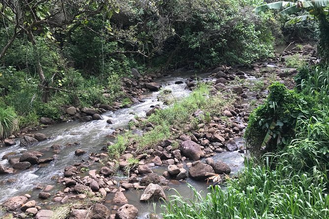North Shore / Waimea, Falls Day & Swim With Turtles - Reviews and Ratings