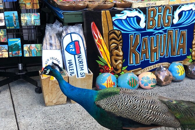North Shore / Waimea, Falls Day & Swim With Turtles - Shrimp Truck Lunch Experience
