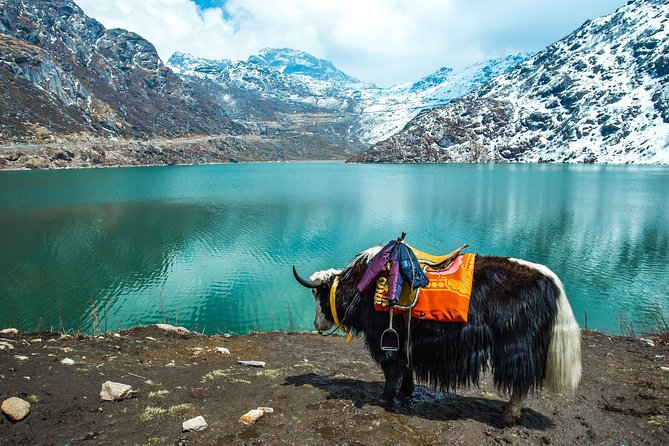 North Sikkim 6 Days Tour - Pickup and Schedule