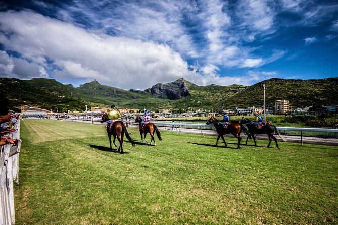 North & South in One Day All Inclusive Private Tour With Lunch - Accessibility and Participation