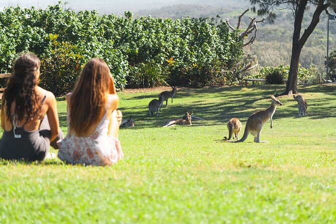 North Stradbroke Island (Minjerribah) Day Trip From Brisbane - Wildlife Spotting