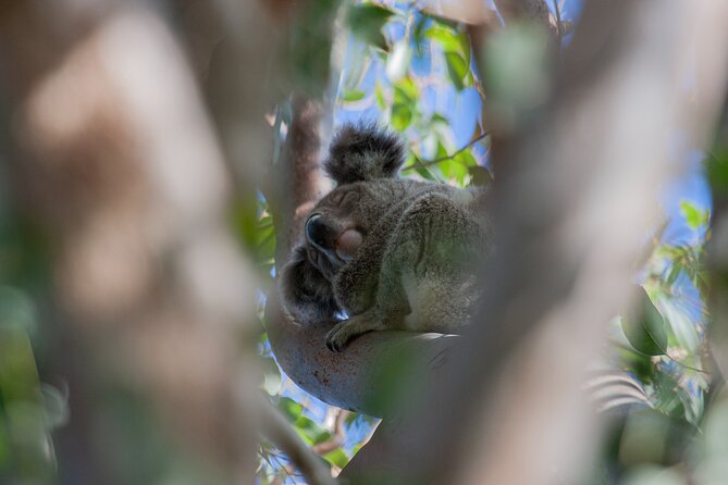 North Stradbroke Island Private Tour With Pickup - Inclusions