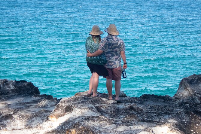 North Stradbroke Island Private Tour With Pickup - Marine Life Opportunities