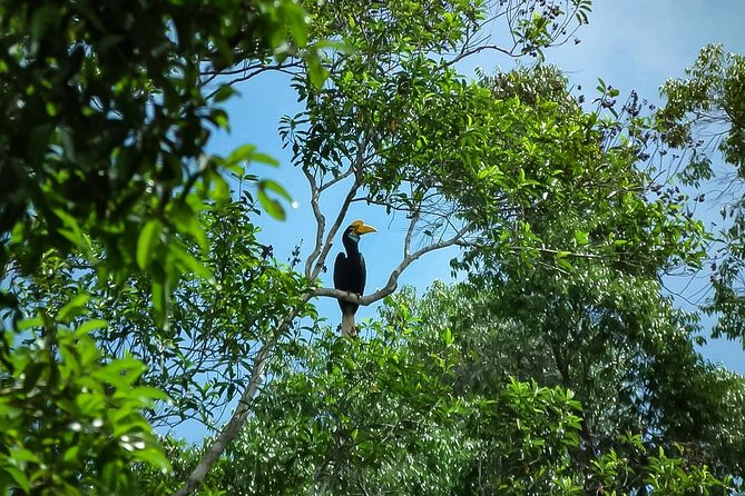 North Sumatra & Barumun Nagari Wildlife Sanctuary Program - Key Points