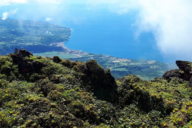 North Tour: Rainforest, Rum Distillery, Black Sand Beach Etc - Guide and Reviews