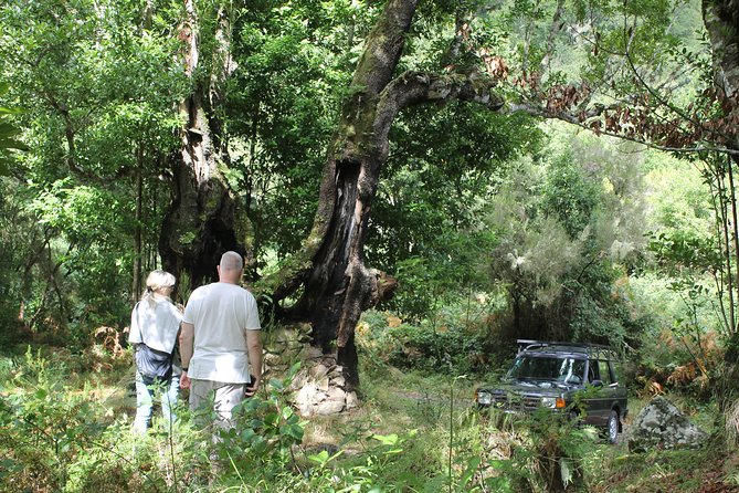 North Tour & Wine Tasting - 4x4 (Small Groups) - Discovering Water Mill
