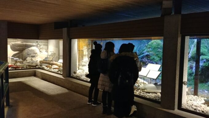 North Vancouver Discovery Private Tour - Pickup and Drop-off
