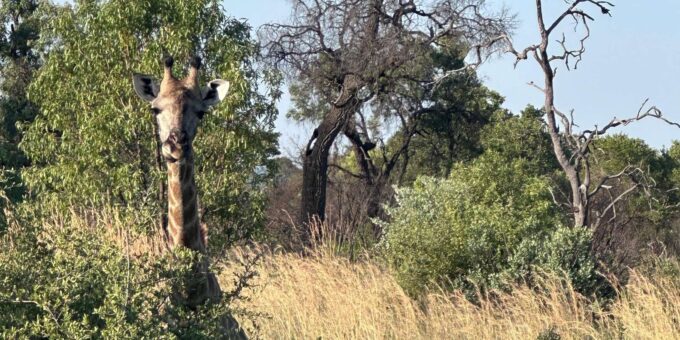 North West - PILANESBURG NATURE RESERVE - Accommodation Arrangements