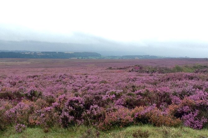 North York Moors and Whitby Day Tour From York - Transportation and Accessibility