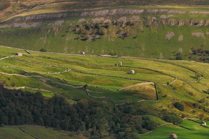 North York Moors and Whitby Day Tour From York - Dining and Local Cuisine