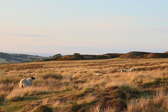 North York Moors Tour App, Hidden Gems Game and Big Britain Quiz (7 Day Pass) UK - Cancellation Policy