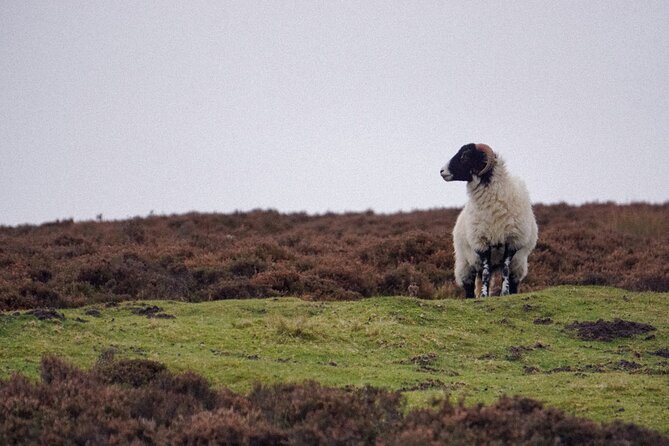 North York Moors Tour App, Hidden Gems Game and Big Britain Quiz (7 Day Pass) UK - Frequently Asked Questions
