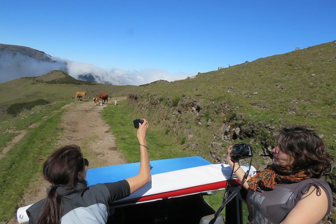 Northeast 4x4 Santana and Landscapes Day Trip - Booking Information and Reviews