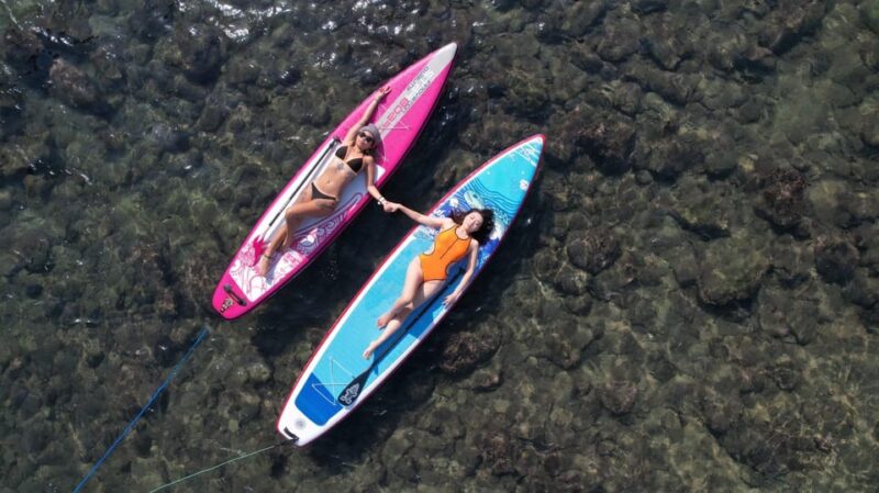 Northeast Coast Day Tour: SUP and Spearfishing Picnic - Relaxation and Comfort