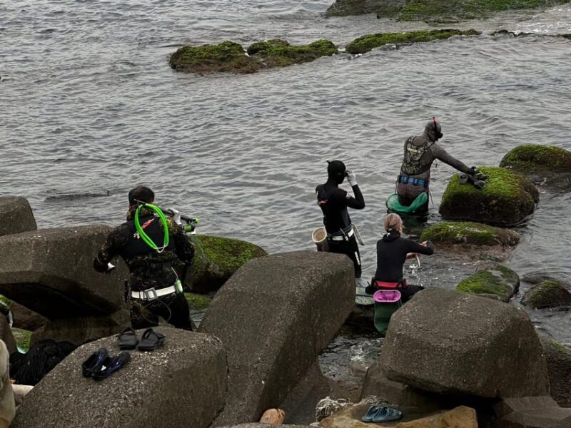 Northeast Coast Day Tour: SUP and Spearfishing Picnic - Key Points