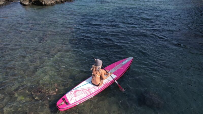 Northeast Coast Day Tour: SUP and Spearfishing Picnic - Relaxation and Comfort