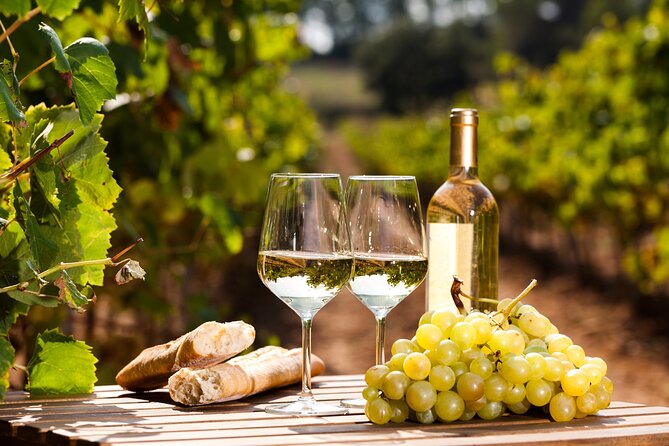 Northern Arizona Private Wine Tour South of Sedona - Verde Valley Wineries - Wine Tastings and Dining