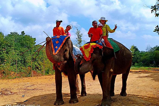 Northern Bintan Full Day Tour - Transportation and Transfers