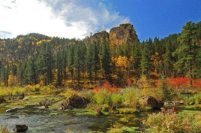 Northern Black Hills - Deadwood, Lead, Spearfish Canyon Tour - Authentic Experiences and Review Highlights