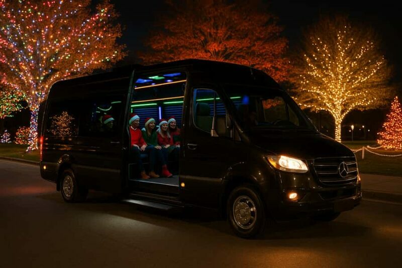 Northern Delaware: Holiday Lights Tour - Key Points