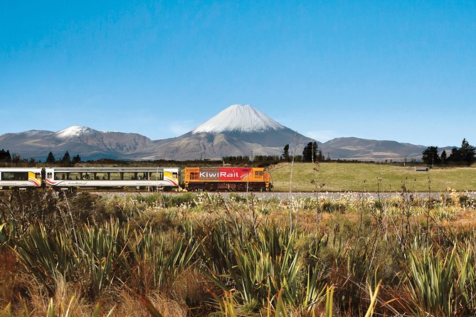 Northern Explorer Train Journey From Auckland to Wellington - Addressing Potential Issues and Concerns