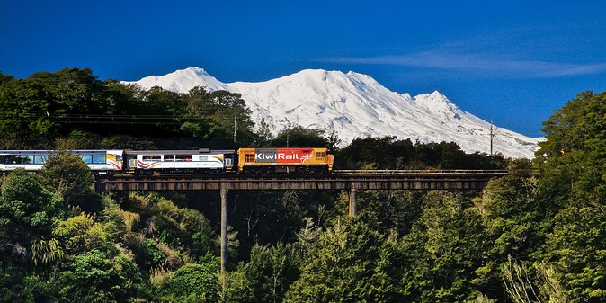 Northern Explorer Train Journey From Wellington to Auckland - Meeting Points and Logistics