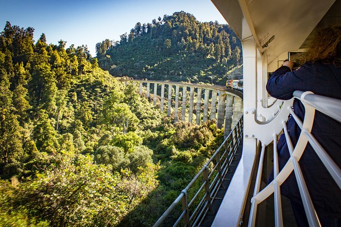Northern Explorer Train Journey From Wellington to Auckland - Customer Reviews and Feedback