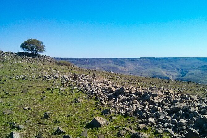 Northern Highlights - From the Sea of Galilee to The Golan Heights - Discovering the Golan Heights