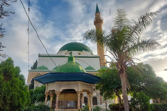 Northern Highlights - From the Sea of Galilee to The Golan Heights - Experience Highlights