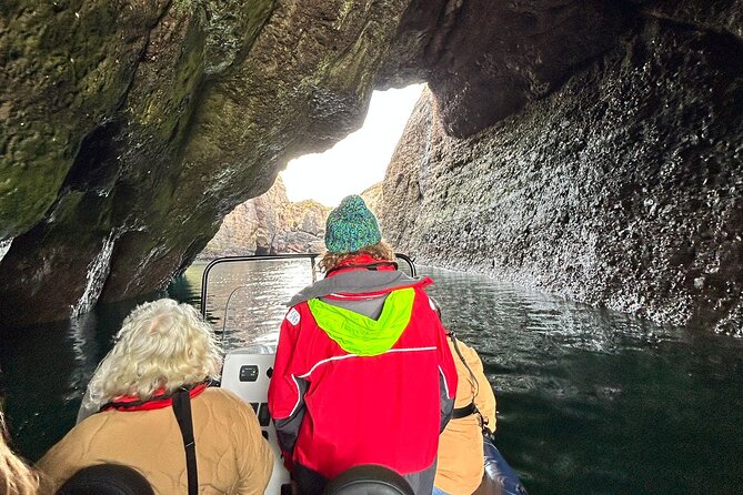 Northern Islands RIB Tour - Tour Experience Highlights