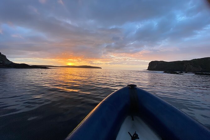 Northern Islands RIB Tour - Accessibility and Requirements