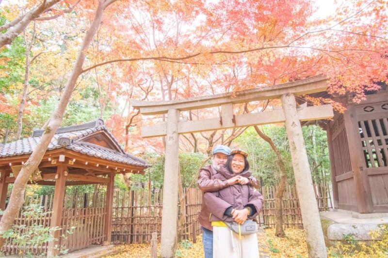 Northern Kyoto Exploration With a Private Car - Key Points