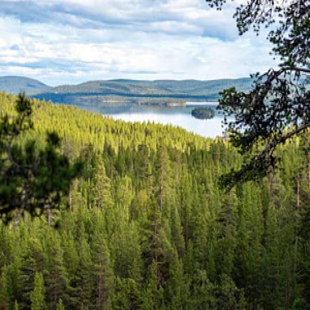 Northern Lapland Abseiling/Rappelling Adventure - Contact Information and Booking