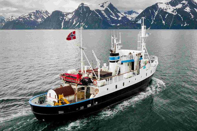 Northern Light Cruise on the Vintage Vessel MS Strønstad - Booking and Practical Information