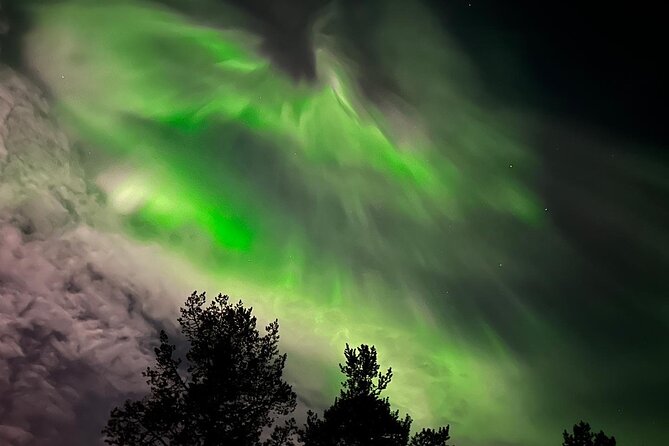 Northern Light Hunt With Minibus to Abisko 7:30 Pm - National Park Exploration