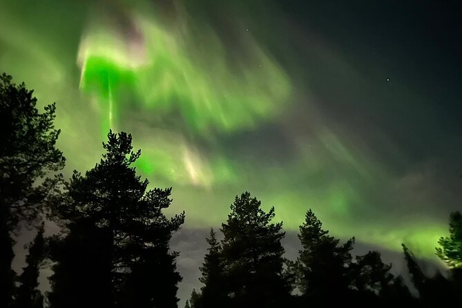 Northern Light Hunt With Minibus to Abisko 7:30 Pm - Small-Group Experience