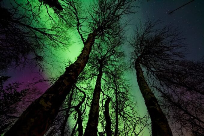 Northern Light Hunt With Procamera : Long Tour - Safety and Flexibility
