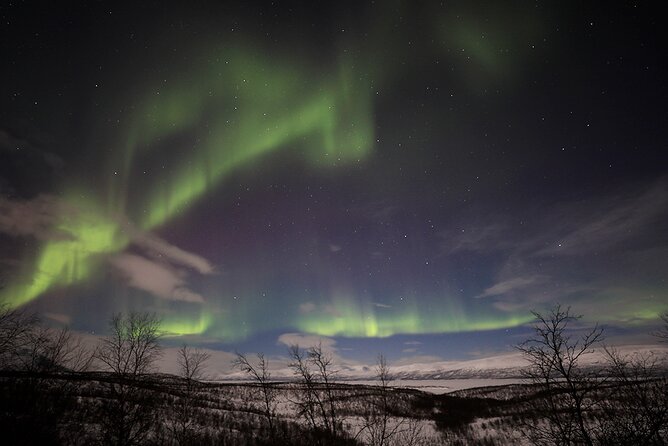 Northern Light Photo Tour - Group Size and Duration