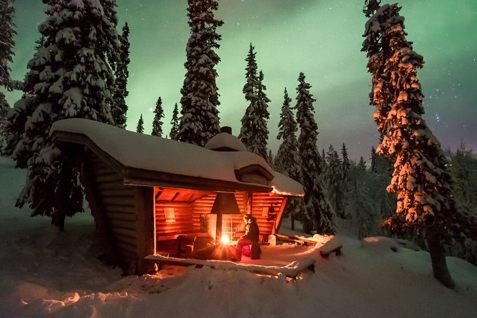 Northern Light Safari by Snowmobiles From Levi - Highlights of the Snowmobile Safari