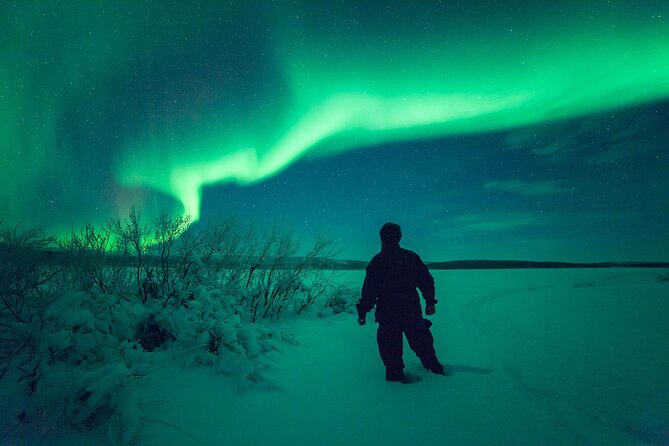 Northern Light Safari by Snowmobiles From Levi - Exploring the Snowy Landscapes
