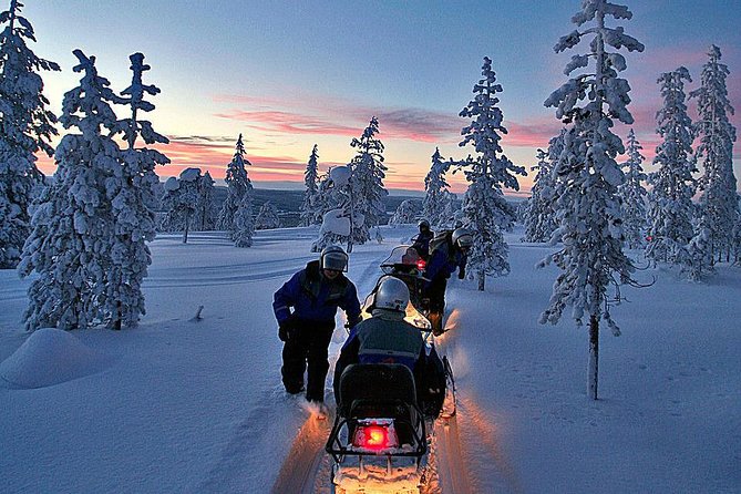 Northern Light Safari by Snowmobiles From Levi - Enjoying the Picnic by the Bonfire