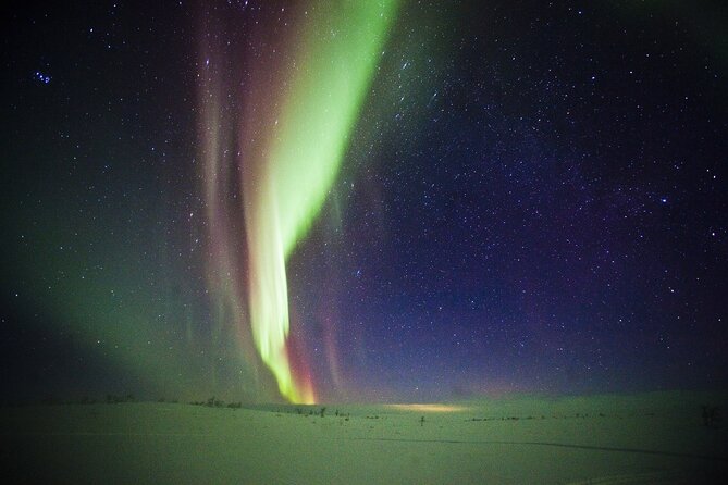 Northern Light Safari by Snowmobiles From Levi - Feedback From Previous Participants