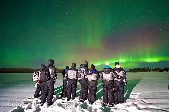 Northern Lights Activity Snowmobile Driving - Guidance and Safety